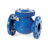 Resilient Seated Swing Check Valve - Flanged Table E